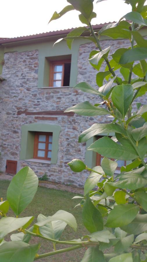 Casa Rural La Pumarada De Limes Cangas De Narcea Exterior photo